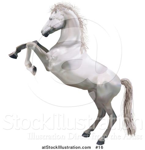 Vector Illustration Of A White Horse Standing On Its Hind Legs While