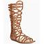 Lyst  Report Amorie Tall Gladiator Sandals In Brown