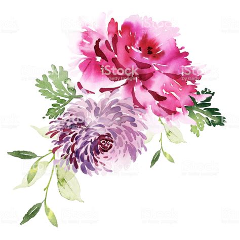 Watercolor Painting Of Pink Flowers On White Background Royalty Free