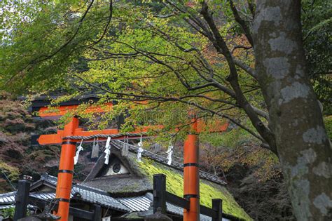Giant Torii Gate At Shinto Shrine In Autumn Stock Photo Image Of