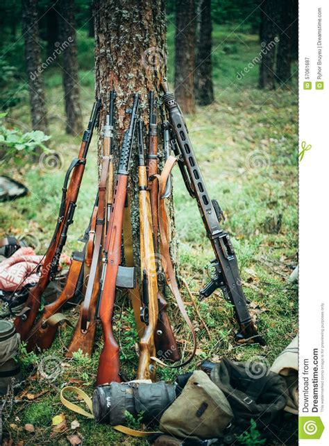 Soviet And German Rifles Of World War Ii Svt 40 Stock Image Image