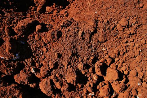 Red Soil With Sods Free Stock Photo Public Domain Pictures