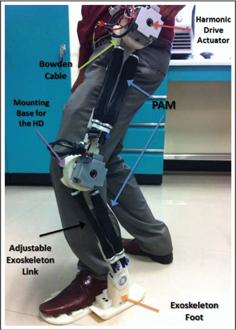 Figure From Design And Control Of Hybrid Actuation Lower Limb Exoskeleton Semantic Scholar
