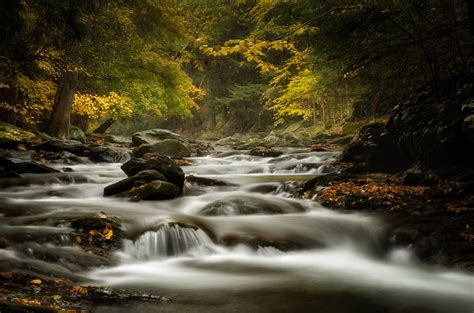 Rocky Stream In Autumn Forest