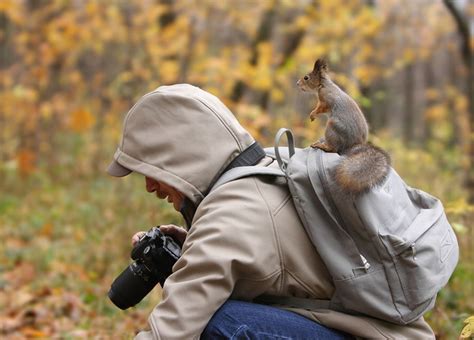 20 Pictures Showing That Nature Photographers Have The Best Jobs Ever