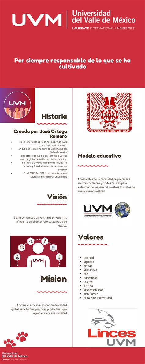 Infografia Uvm Historia Creada Por José Ortega Romero La Uvm Se Fundó