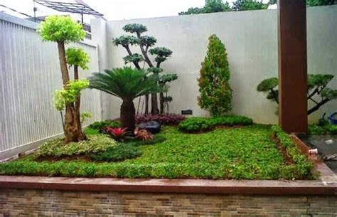 Berbeda dengan tanaman aloe vera alias lidah buaya, varietas aloe yang sering digunakan di taman rumah minimalis adalah jenis aloe barbarea. Foto Taman Sederhana Modern Minimalis | Minimalist garden ...