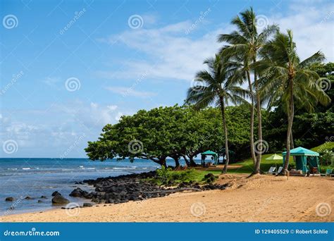Sandy Beach In Princeville Kauai Hawaii Stock Image Image Of Warm