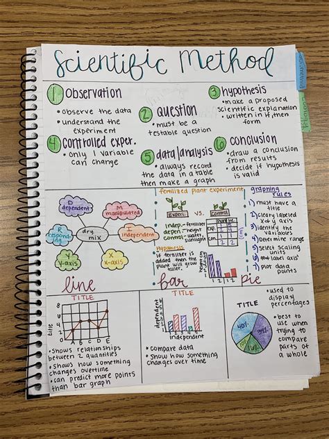 Scientific Method One Pager Ft Ashlynn Science Notes Biology Notes