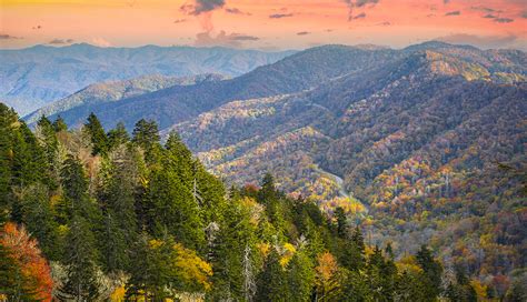 Plan A Trip To Great Smoky Mountains National Park