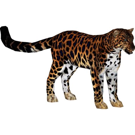 Image Amur Leopard Slice4png Zt2 Download Library Wiki Fandom