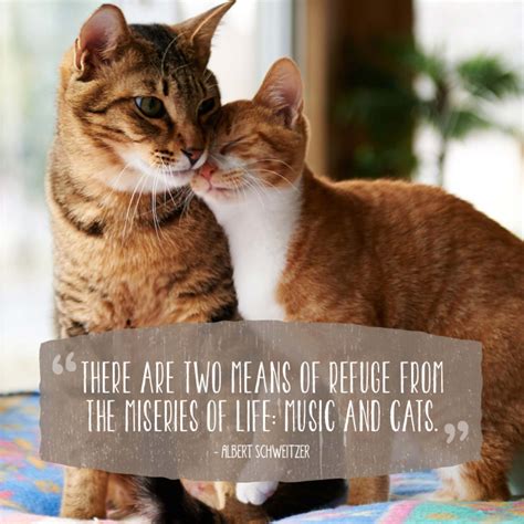 Pin By On Pet Quotes Cat Quotes Animal Love Quotes Cats