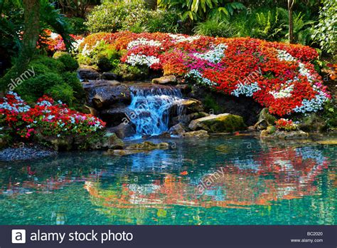 She said that once she saw the waterfalls off in the distance, she was in love. A beautiful flower garden with a waterfall in Tropical ...