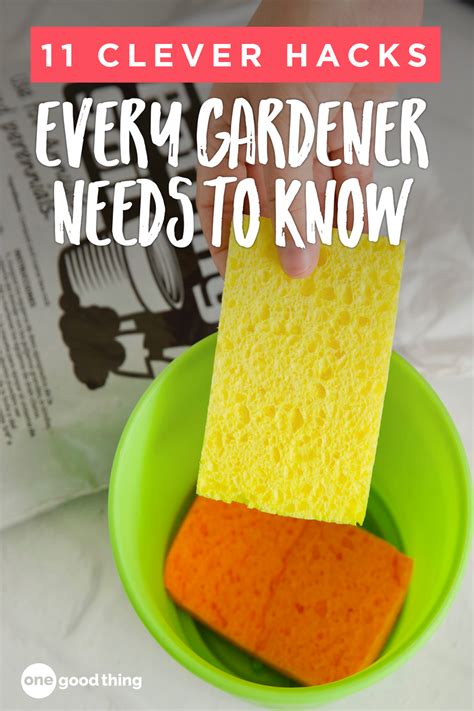 11 clever gardening hacks you ll want to know one good thing by jillee gardening tips