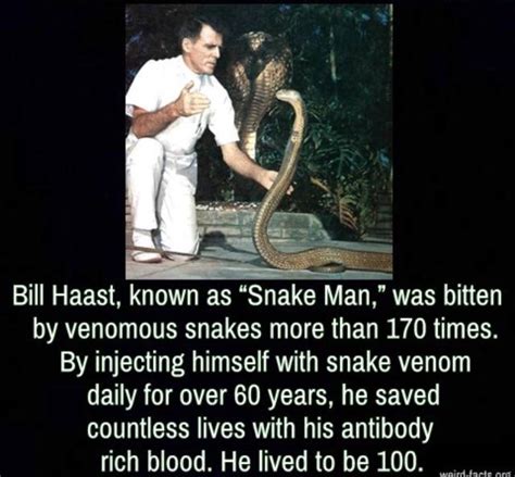 Bill Haast The Snake Man Via Rdamnthatsinteresting Daslikes