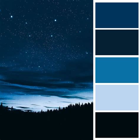 Monochrome Colour Palette Of A Starry Night Over A Forest Sky Color