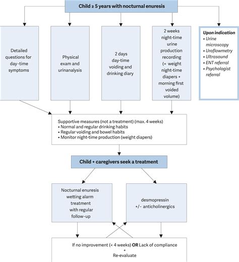 Paediatric Urology THE GUIDELINE Uroweb