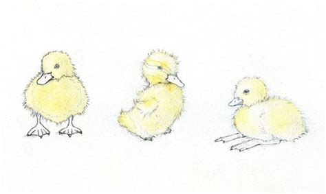 Adorable Art Learn How To Draw And Paint A Duckling Craftsy