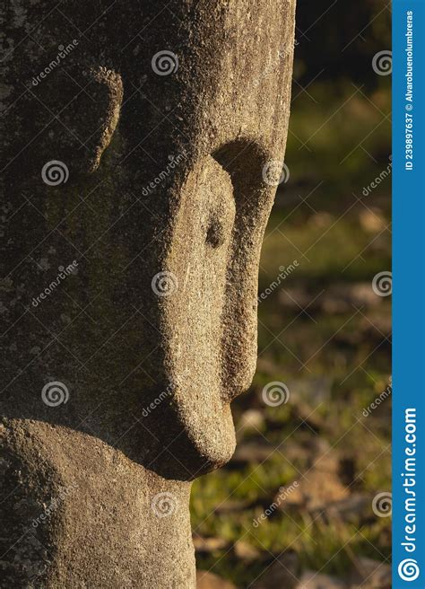 Megalith From Unknown Prehistoric Culture Sulawesi Indonesia Stock Image Image Of