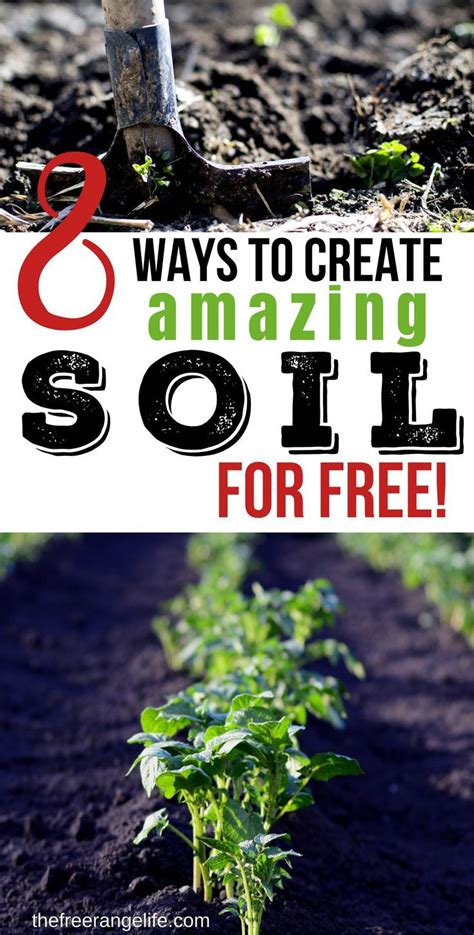 8 Simple Ways To Improve Your Garden Soil For Free Frugal Gardening