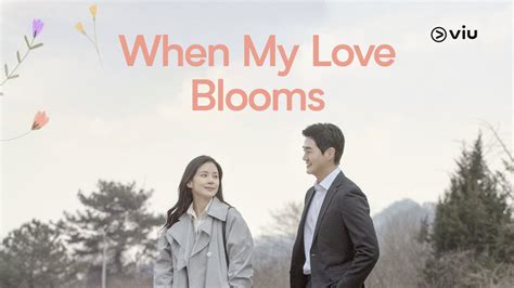 When My Love Blooms Review Cultura