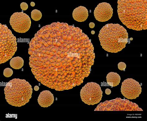 Illustrations Human Papillomaviruses Stock Photo Alamy