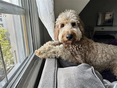 Tim Fleming — MMC Emergency medicine