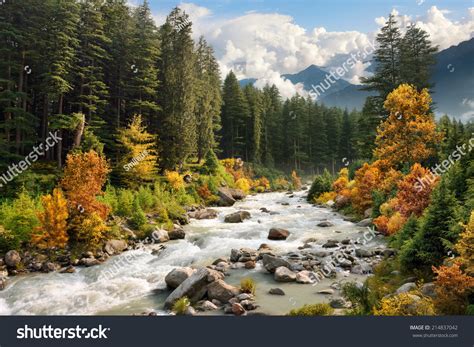 Beautiful Colorful Landscape With A Stream And Forest In