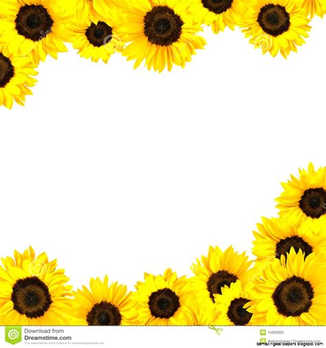 Free 305 Sunflower Border Clipart Free Svg Png Eps Dxf File