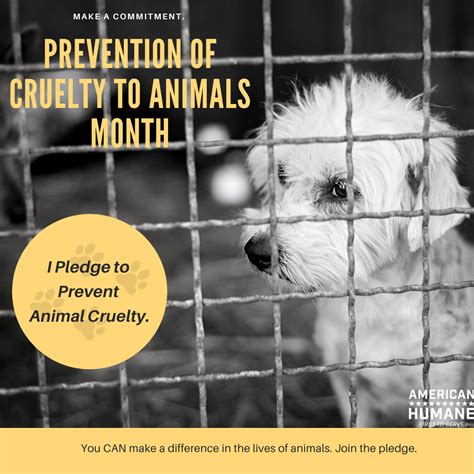 American Humane Advocates For Prevention Of Cruelty To Animals Month