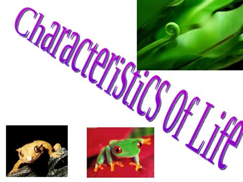 Biology Characteristics Of Living Things