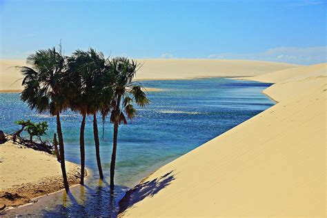 Lençóis Maranhenses National Park Brazil Traquo