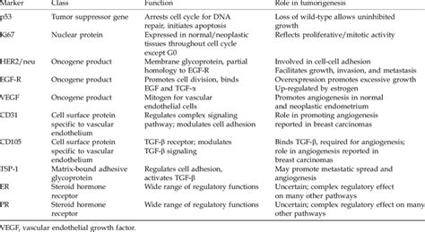 Immunohistochemical Markers Download Table