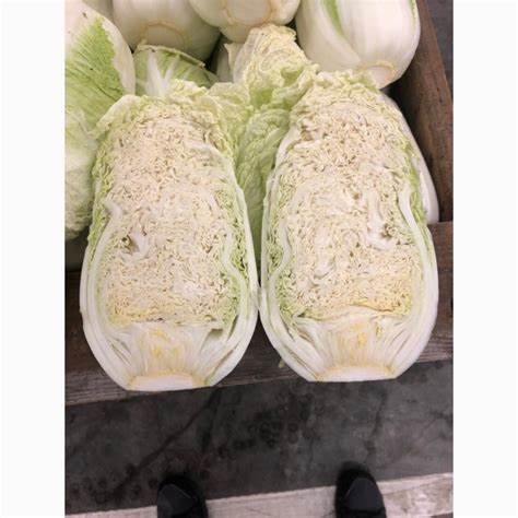 Пекинская капуста диета отзывы Продам пекинская капуста, купить пекинская капуста, Кабардино Продам пекинская капуста, купить пекинская капуста, Кабардино Пекинская капуста диета отзывы