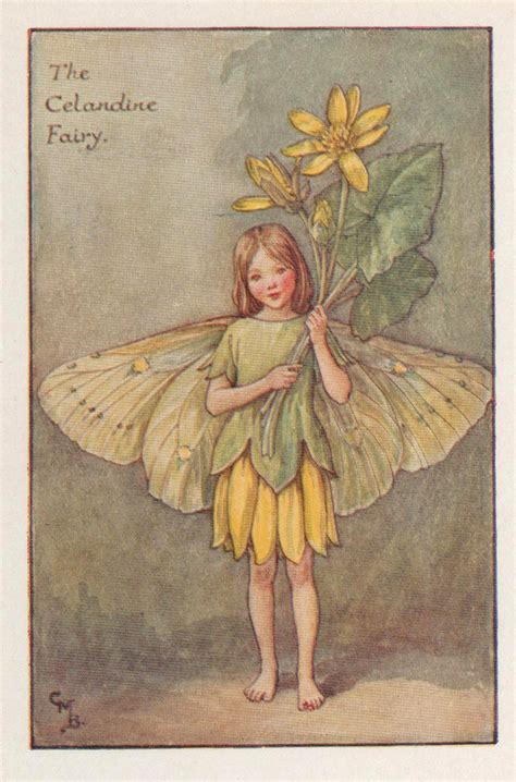 Flower Fairies The Celandine Fairy Vintage Print C1930 By Etsy Uk