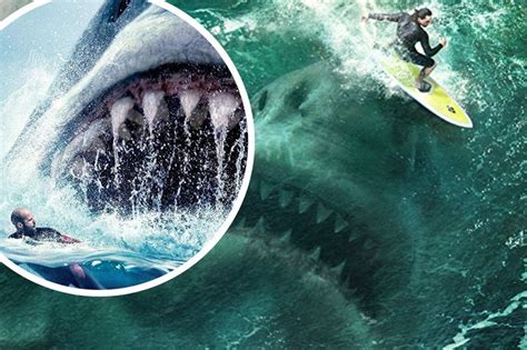 Total Size Of Giant The Meg Shark Finally Revealed By Bristol