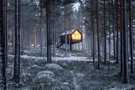 This Cabin Is Elevated By A Single Pillar Above Finlands Dense Forest