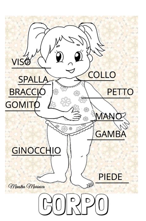 Questa animazione presenta le parti del corpo umano con l'aiuto di un modello anatomico maschile. Scarica Immagini Del Corpo Umano Per Bambini - Disegni da ...