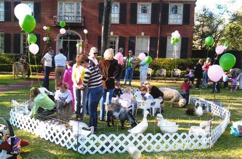 Petting Zoo Party Ideas News At Pets
