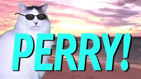 Happy Birthday Perry Epic Cat Happy Birthday Song Youtube