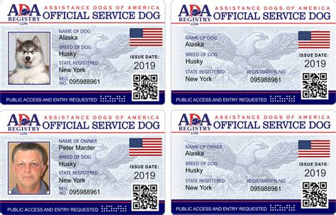 How to get a service dog. service gallery | Service dog registration, Assistance dog ...