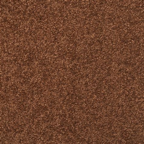Stainmaster Influential Etching Brown Textured Carpet Indoor In The