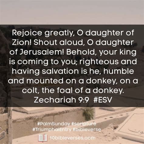 Triumphal Entry Archives 10 Bible Verses Daily Scripture Inspiration