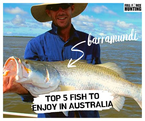 Best Fish To Eat In Australia - Sydney Fish Market, Australia | Growing
