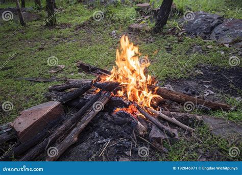 Fire Camping Burning Wood Bonfire Forest Stock Image Image Of