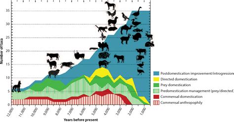 Domestication Of Animals Timeline