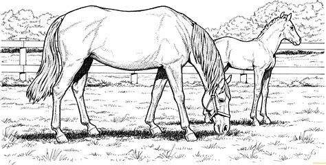 Grazzing Mare Horse Hard Coloring Page Free Coloring Pages Online