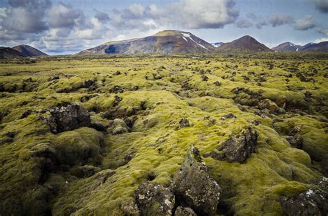 Iceland South Of Iceland Moss Grown Volcanic Rock Stock Photo