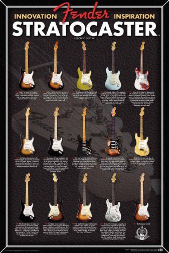 Fender Stratocaster Evolution Electric Guitar Chart 24x36 Poster The
