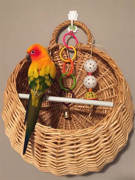 How to make a bird feeder from scratch. 1219 best DIY Bird Toys images on Pinterest | Parrots, Parakeets and Parrot toys
